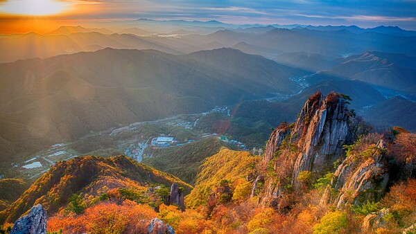출처: 게티이미지뱅크 (제주도 여행금지 지역)