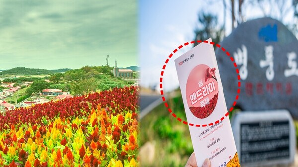 2023 섬 맨드라미 축제 / 출처= 게티이미지뱅크