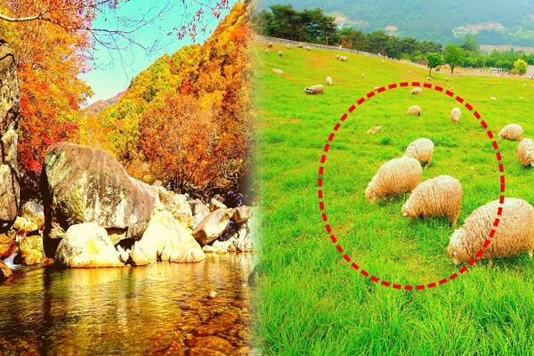 전남 여행 / 출처= 게티이미지뱅크