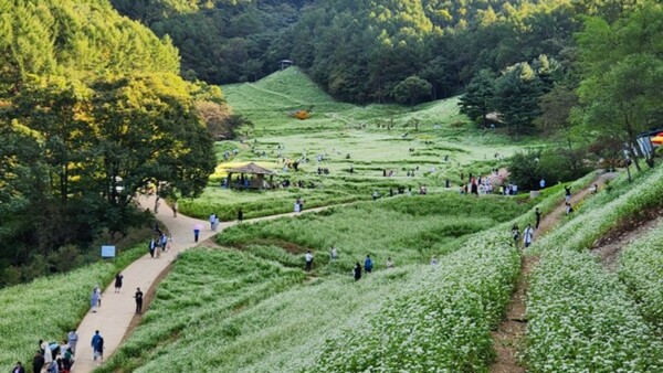 출처: 추정리 경관·밀원 추진위원회 (10월 사진 명소)