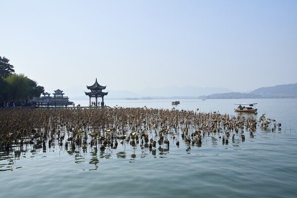 출처-게티이미지뱅크
