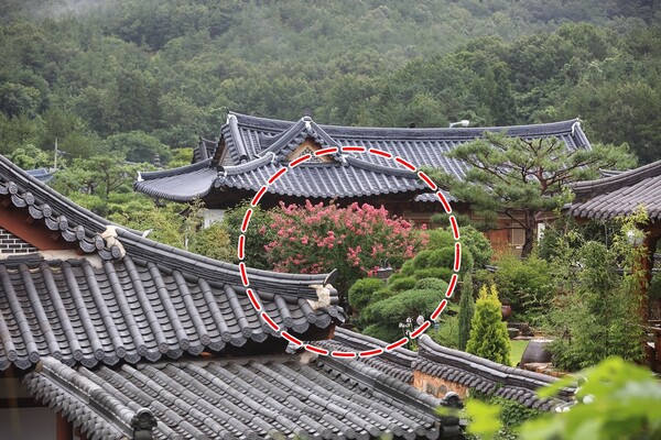 출처 - 게티이미지뱅크
