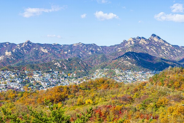 출처 = 게티이미지뱅크