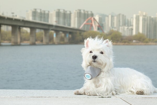 출처 - 게티이미지뱅크