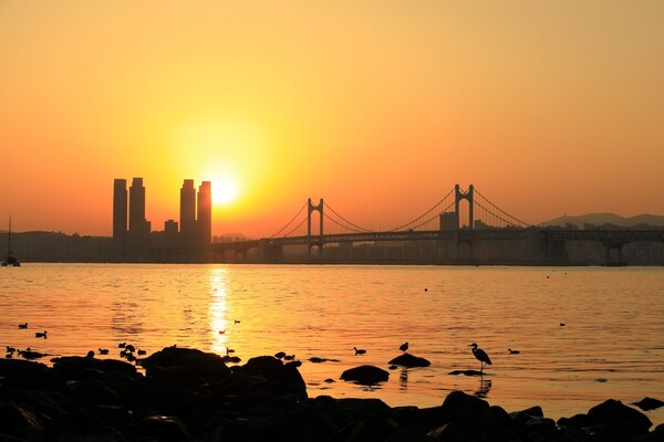 출처 = 게티이미지뱅크