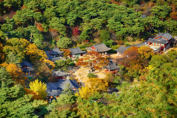 출처: 게티이미지뱅크 (인천 단풍여행)