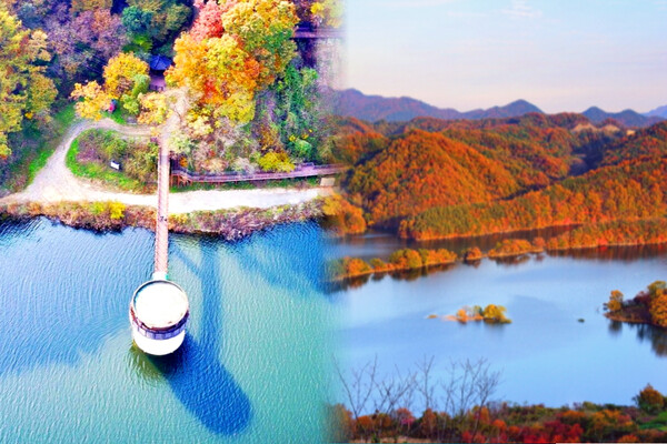 출처: 옥천군 및 한국관광공사 (충북 옥천 여행)