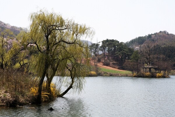 충청남도 서산시 용비지 (출처 - 서산시청 홈페이지)