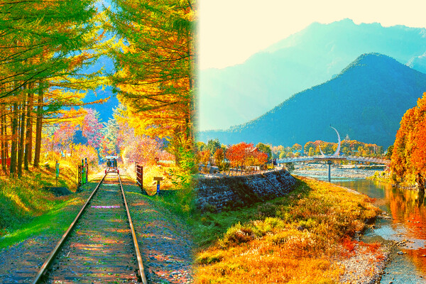 출처 = 게티이미지뱅크