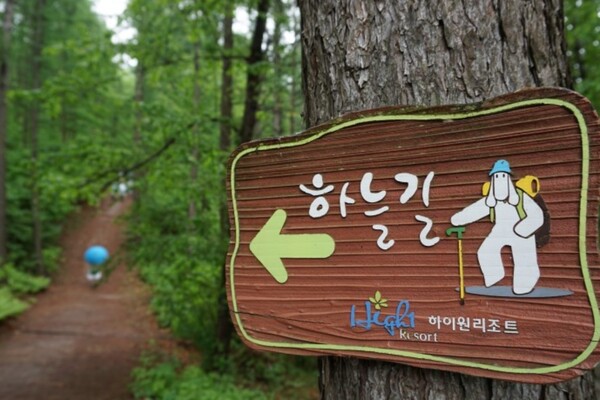 출처 = 온라인 커뮤니티