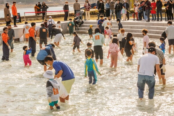 출처: 양양군 (양양 축제)