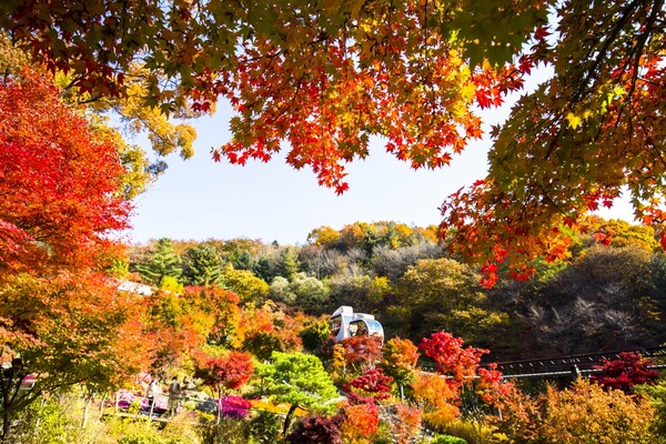 화담숲 / 출처 = 게티이미지뱅크
