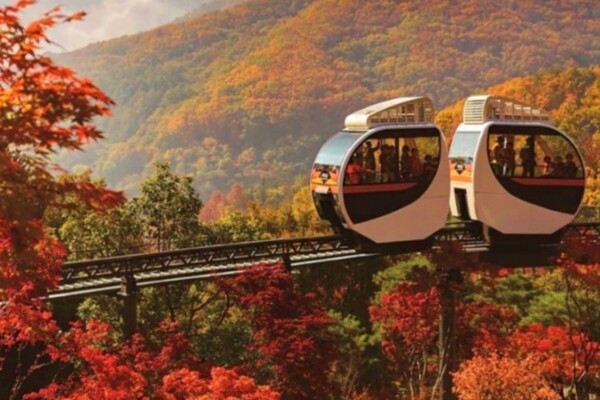 화담숲 / 출처 = 온라인 커뮤니티