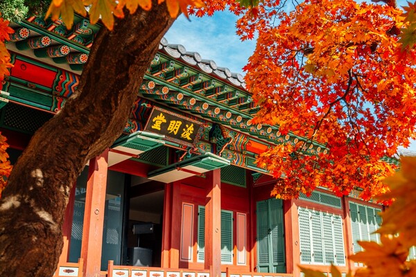 덕수궁 / 출처 = 게티이미지뱅크