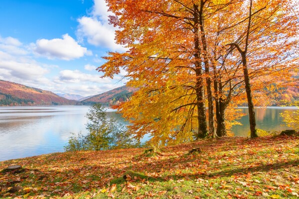 단풍 명소 / 출처 = 게티이미지뱅크