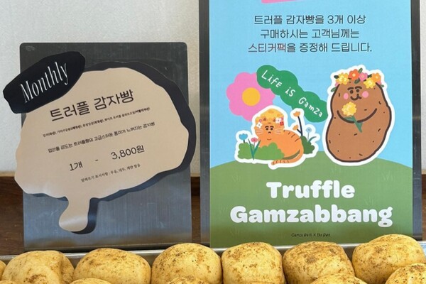 춘천 나들이코스 / 출처 = 카페 '감자밭' 인스타그램