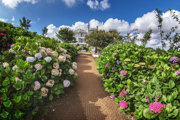 마노르블랑 (출처 - 마노르블랑 업체 등록 사진)