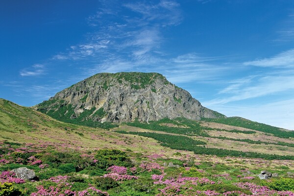 한라산 (출처 - 게티이미지뱅크)