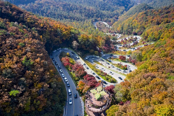 출처: 게티이미지뱅크 (국내 단풍 명소)