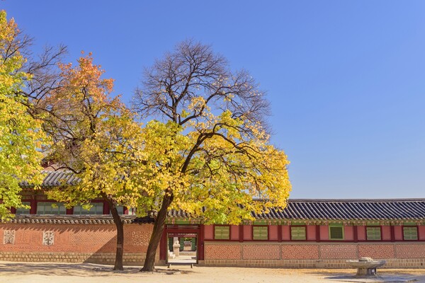출처 - 게티이미지뱅크