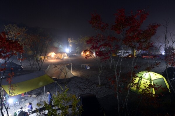 용인 단풍숲 캠핑장 (출처 - 단풍숲 캠핑장)