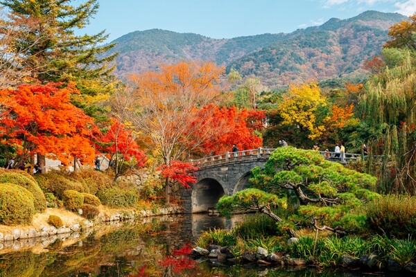 출처 = 게티이미지뱅크