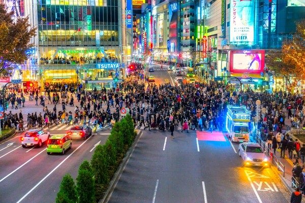 출처: 게티이미지뱅크 (일본 시부야 여행 주의)