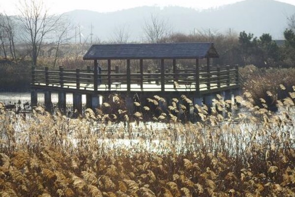 출처 = 온라인 커뮤니티
