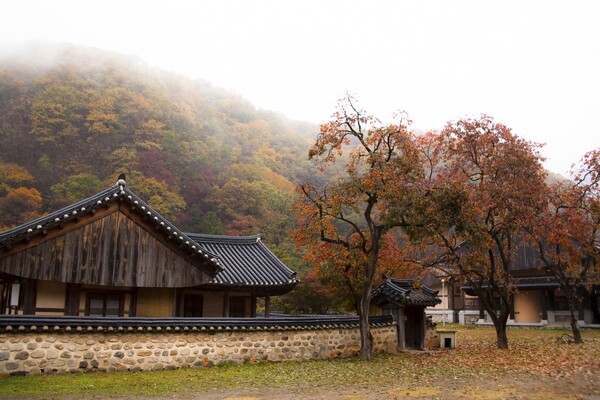 출처 = 온라인 커뮤니티