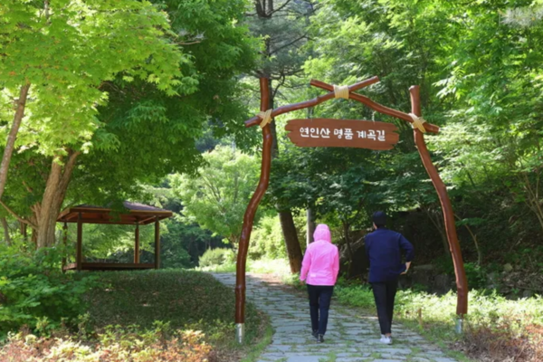 출처: 경기도 관광 (국내 명품숲길)