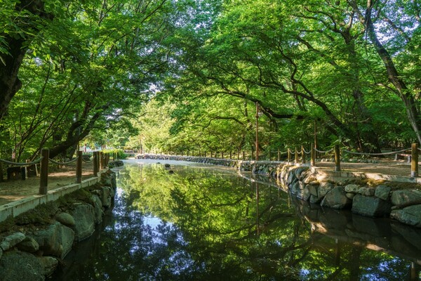 출처: 게티이미지뱅크 (국내 명품숲길)