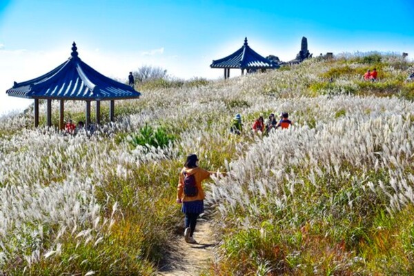 출처: 대구시 (대구 가을 여행)