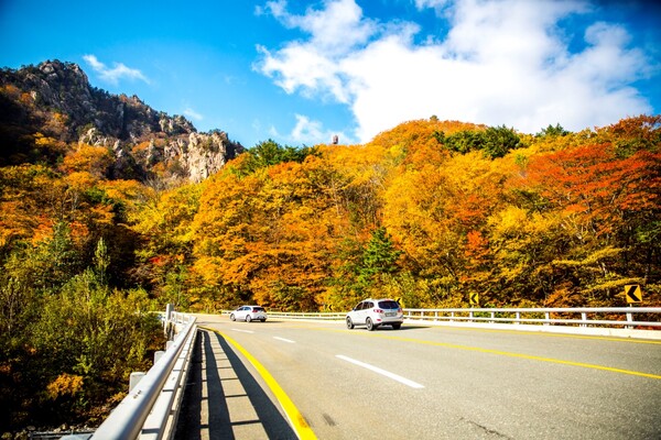 출처: 게티이미지뱅크 (가을 단풍 드라이브)