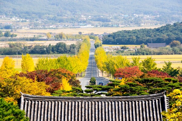 출처: 게티이미지뱅크 (가을 단풍 드라이브)