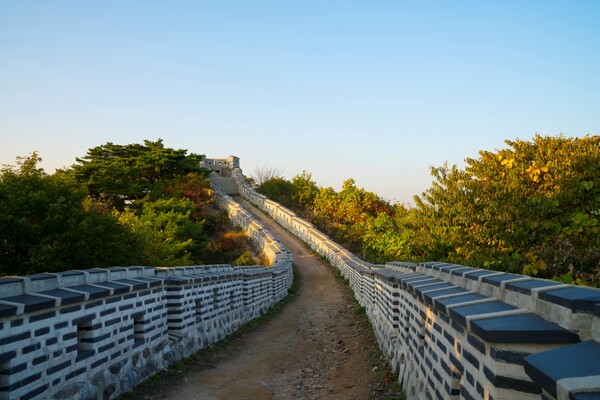 출처 = 온라인 커뮤니티