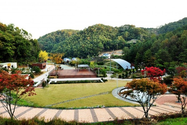 출처 = 온라인 커뮤니티