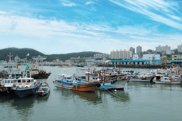 출처 = 온라인 커뮤니티