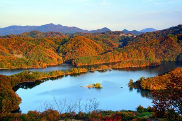출처: 옥천군 (호수 단풍 명소)