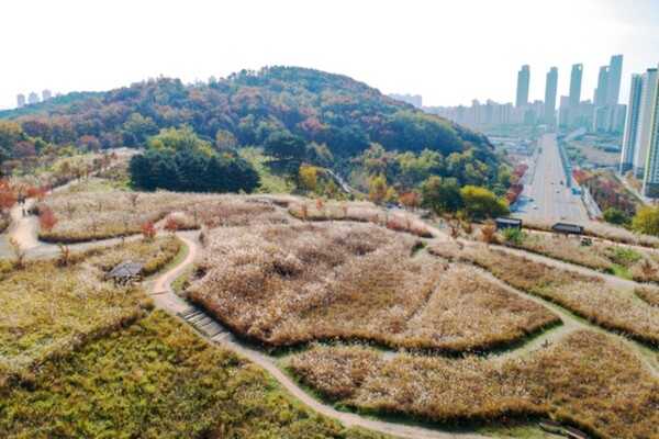 출처 = 온라인 커뮤니티