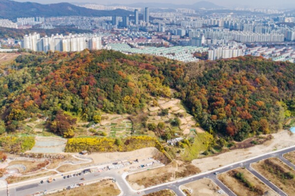 출처 = 온라인 커뮤니티