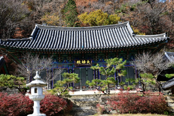 출처: 온라인커뮤니티 (광주 무등산 단풍 여행)