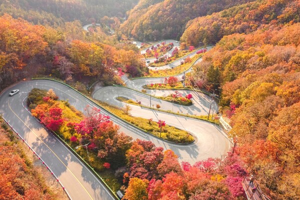 출처 = 한국관광공사