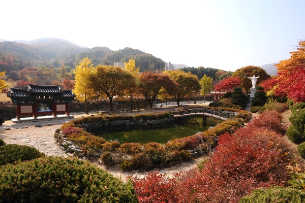 출처 = 온라인 커뮤니티