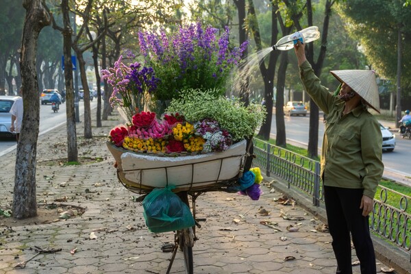 출처: 게티이미지뱅크 (가을 베트남 여행)