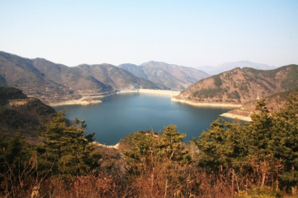 출처 = 온라인 커뮤니티