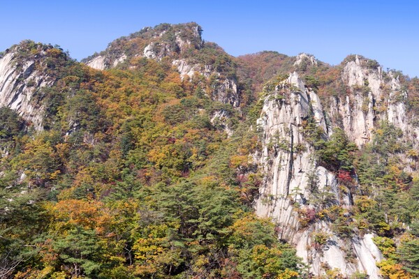 출처: 게티이미지뱅크 (경기도 단풍 명소)