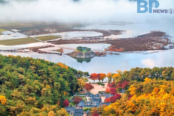 출처: 안동시 (안동 단풍 명소)