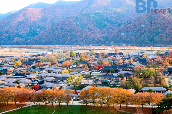 출처: 게티이미지뱅크(안동 단풍 명소)