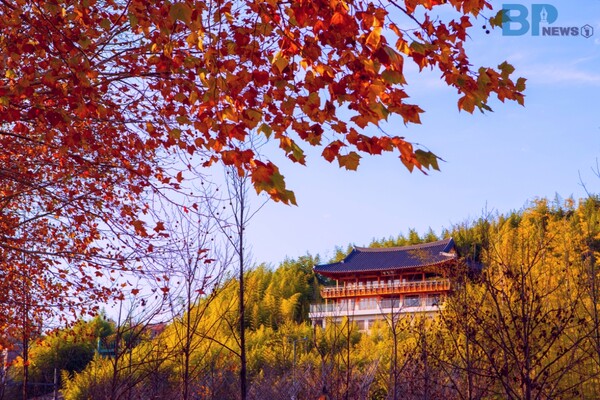출처 = 게티이미지뱅크