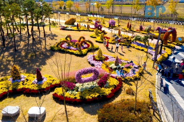출처: 한국관광공사 (국화 축제)